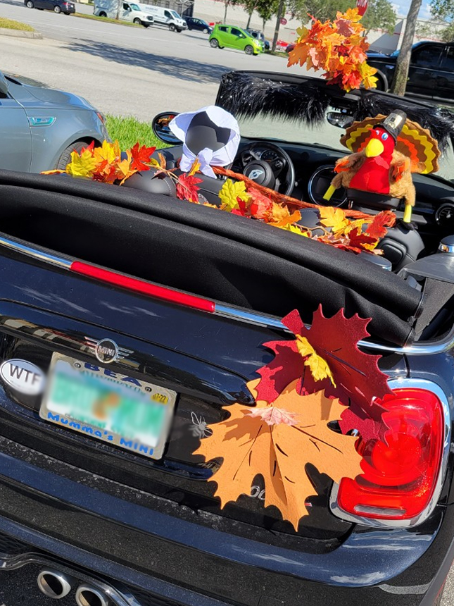 Linda's Thanksgiving car